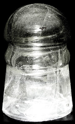 CD 102 Mustard Northern Lights